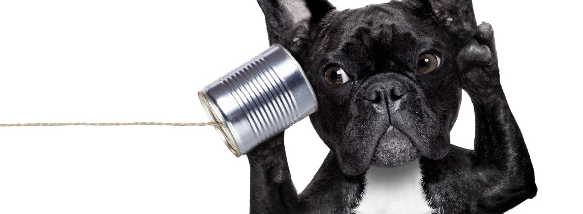 Syracuse, NY Graphic Design