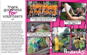 ali jackson popp design